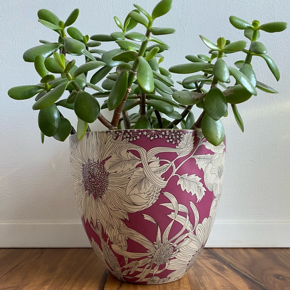 Liberty of London for Target planter